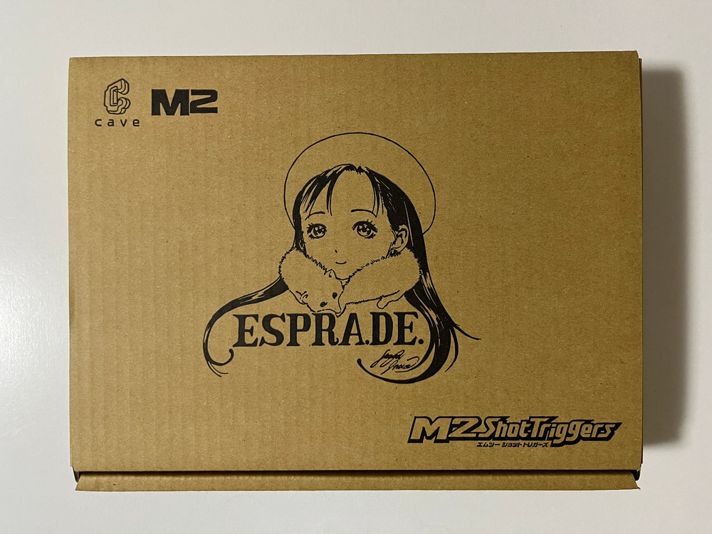 ESP Ra.De Psi Limited BEEP Special Edition PS4 Japan Import