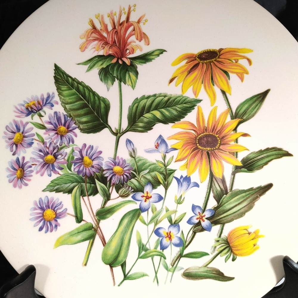Eastern US Wildflowers Plate - Aster, Bee Balm, Blackeyed Susan Floral Design