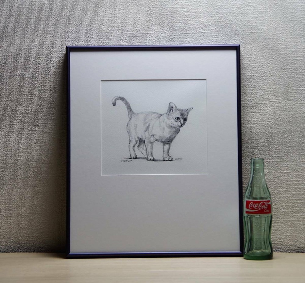 Kitten pencil drawing