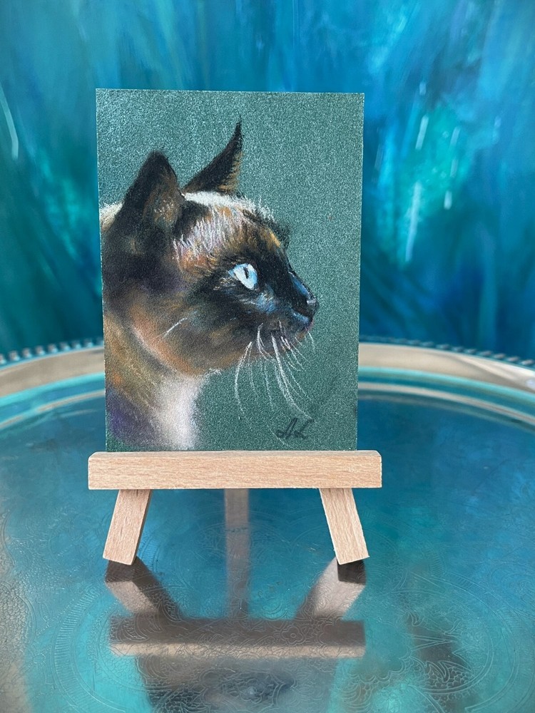 Original Pastel Siamese Cat Drawing by Professional Artist  
