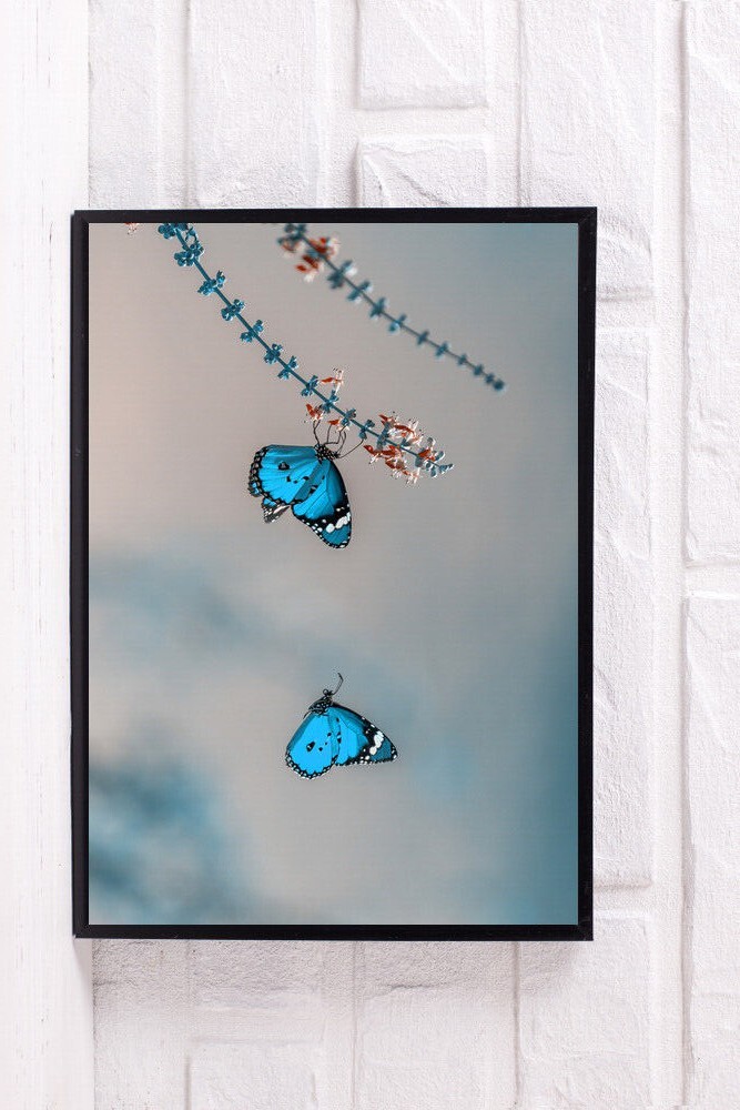 BUTTERFLY POSTER PRINT PICTURE PHOTO WALL ART UNFRAMED GIFT NEW