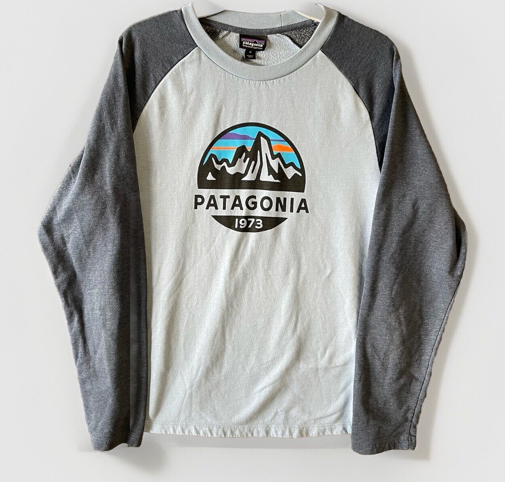 Patagonia Men's Medium Fitz Roy Lightweight Fleece Pullover Sweatshirt
