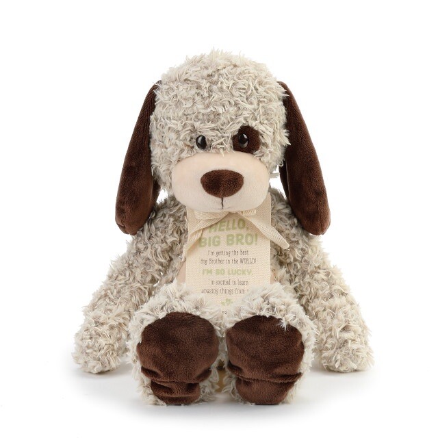 Big Brother Gift from New Baby Plush Puppy Demdaco Plush Personalizable Bundle