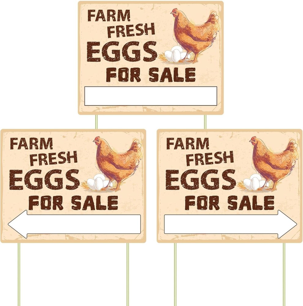 3Pcs Double Sided Farm Fresh Eggs Sign Eggs for Sale Sign Corrugated Plastic New