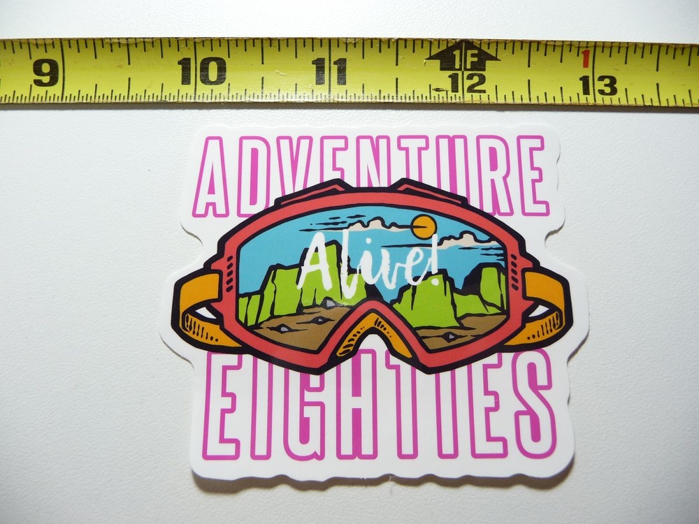 WINTER SPORTS GOGGLES ADVENTURE DECAL STICKER RESORT PLAY FUN SNOW