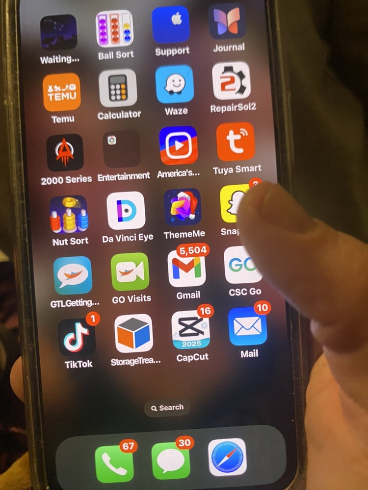 iPhone 12 Pro Max With TikTok