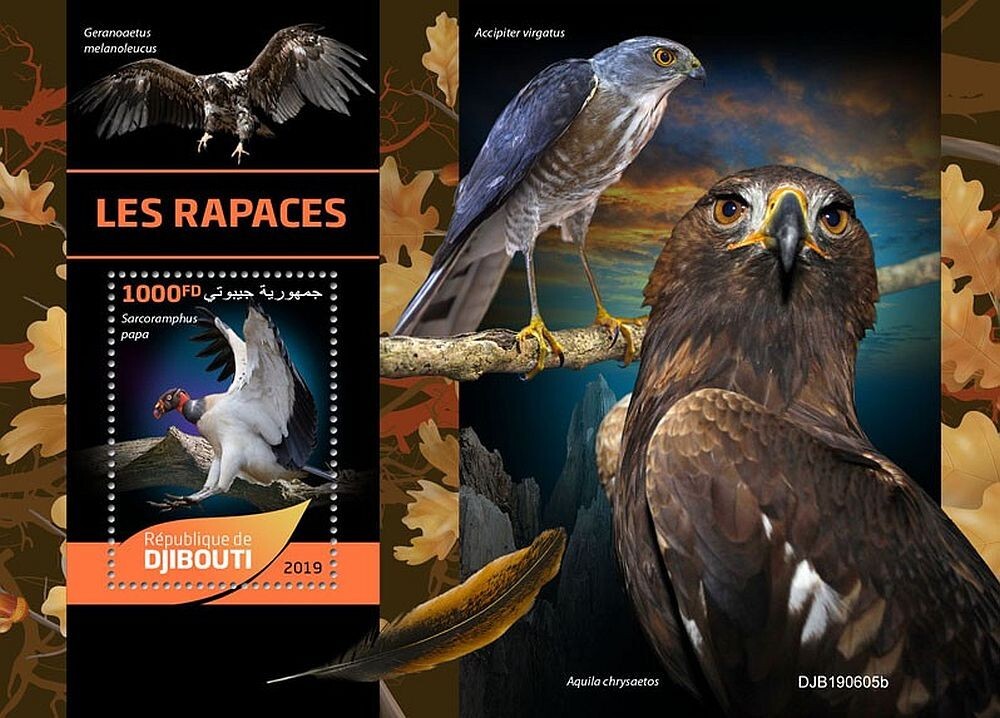 BIRDS OF PREY 1-Value MNH Bird Stamp Sheet #174 (2019 Djibouti)