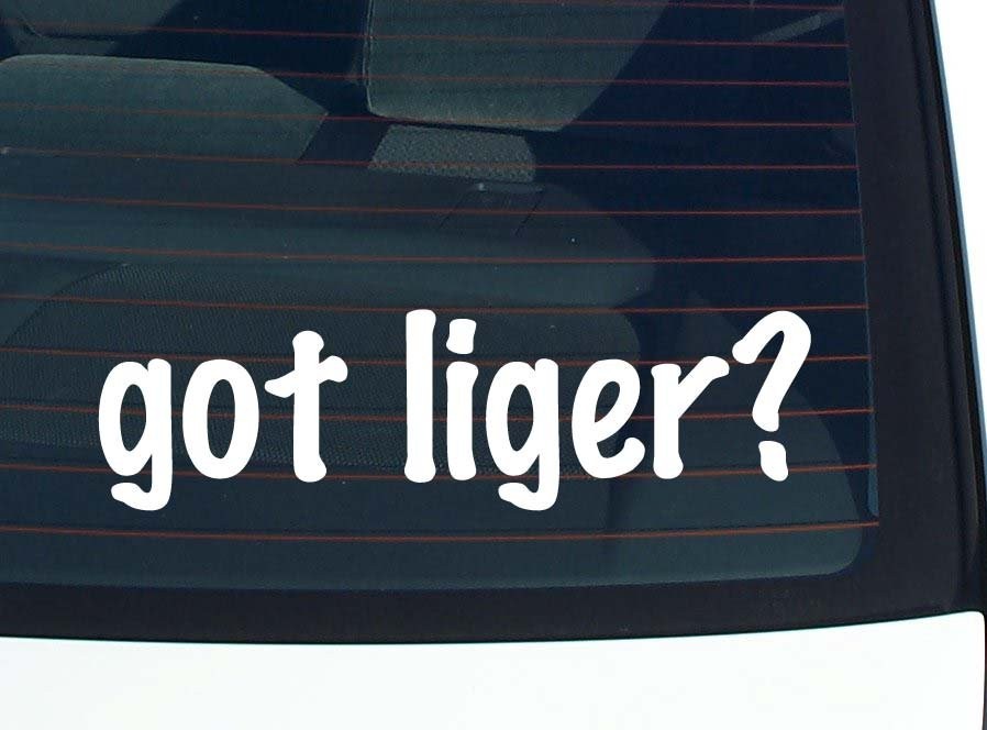 Got Liger Funny Car Bumper Decal Vinyl Sticker Window Joke