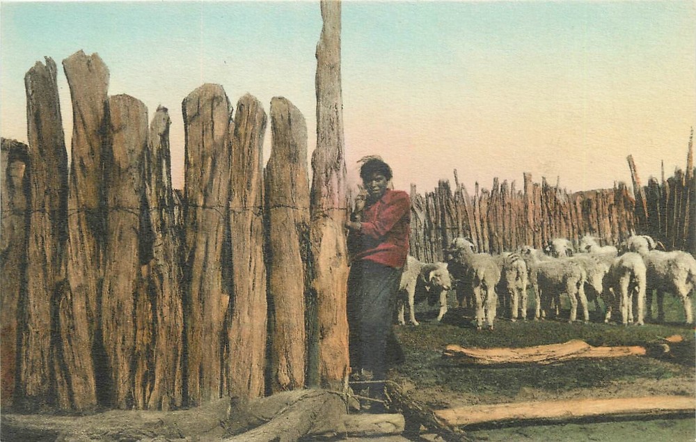 1930s Adamana Arizona Goats Reservation Albertype hand colored Postcard 25-4836