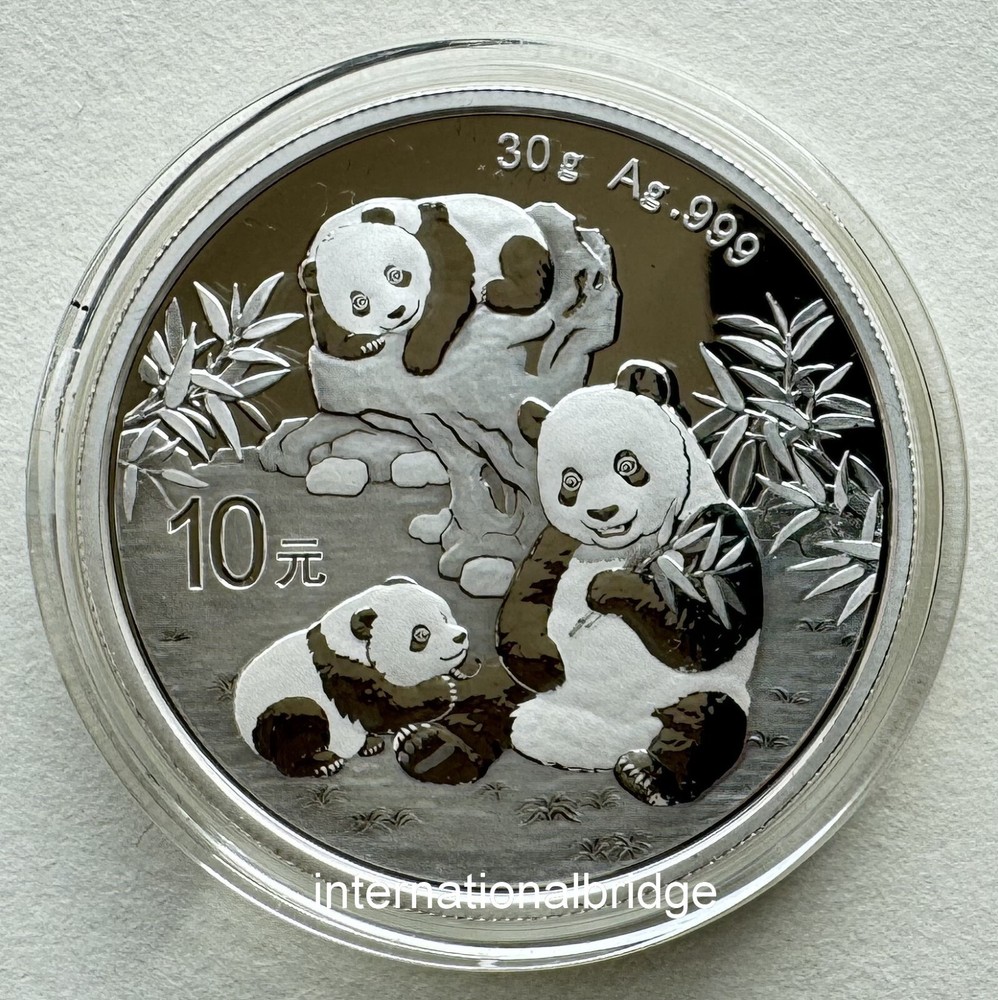 China 2025 Panda Commemorative Silver Coin 30g 10 Yuan