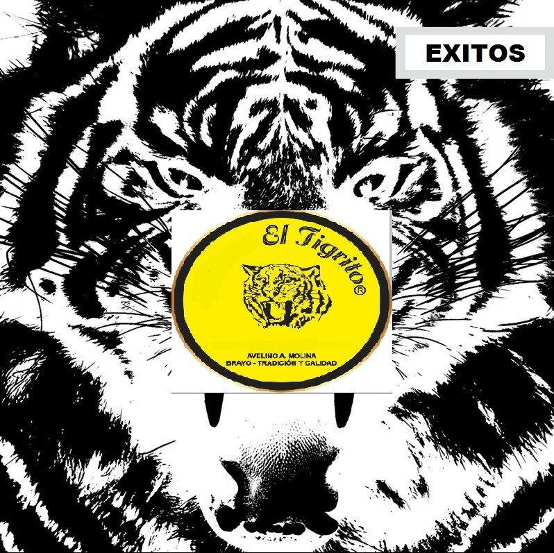 Kit 18 Éxitos Avelino Molina CD Clásicos El Tigrito FASTSHIP Apureñito - Apureno