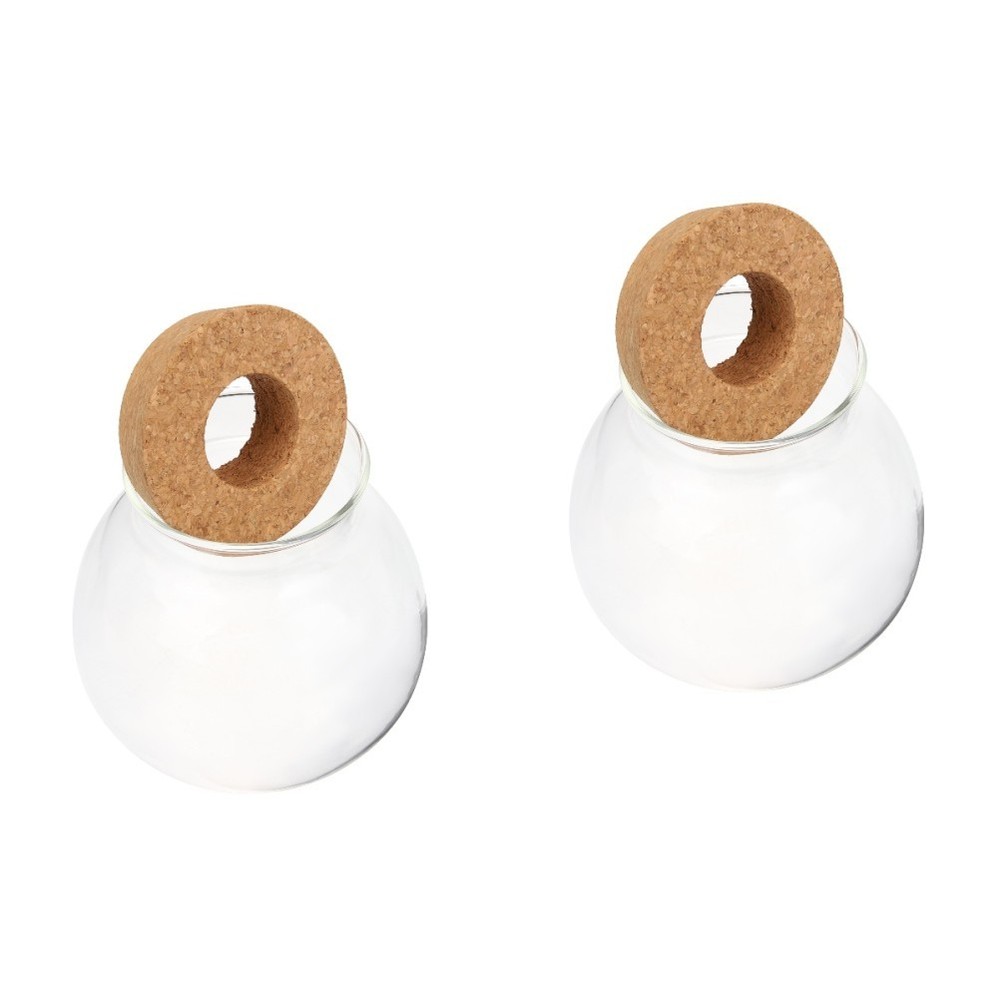 2 Count Hydroponic Plants Glass Jar Flower Pot Small Water Propagation Jars