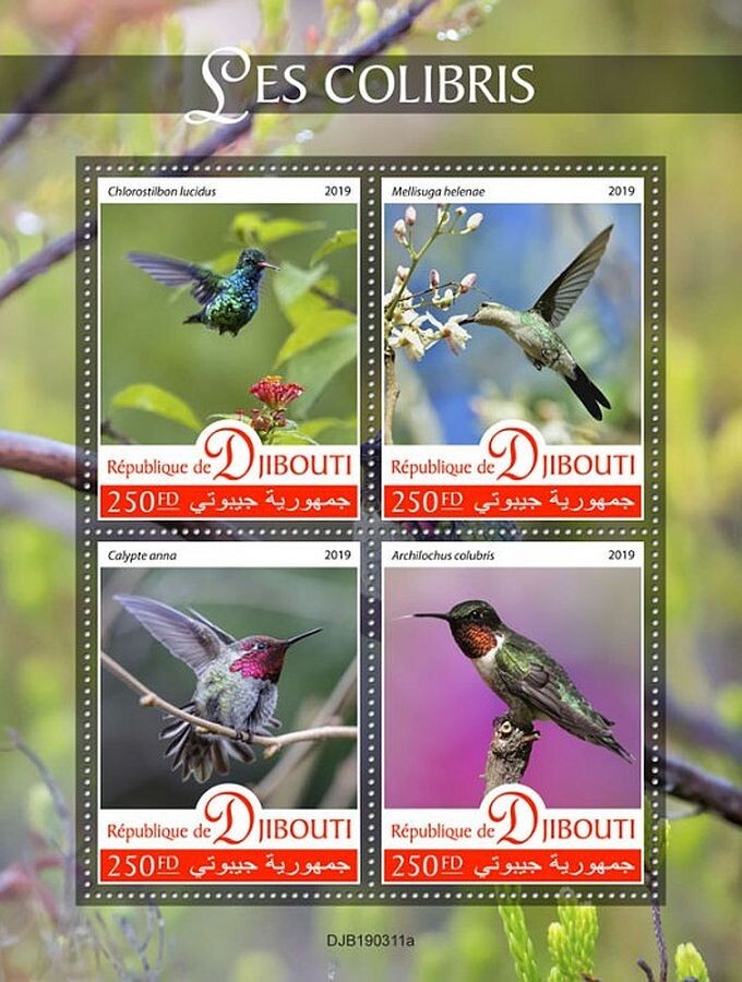 HUMMINGBIRDS 4-Value MNH Bird/Birds Stamp Sheet #157 (2019 Djibouti)
