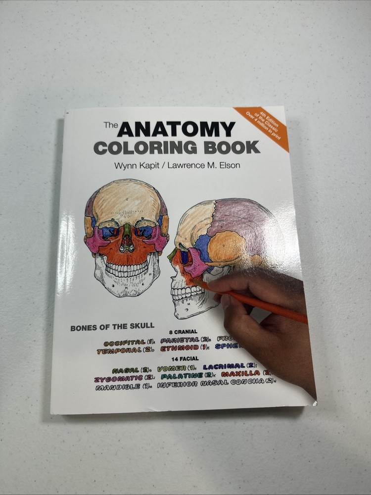 The Anatomy Coloring Book (Paperback or Softback) NEW