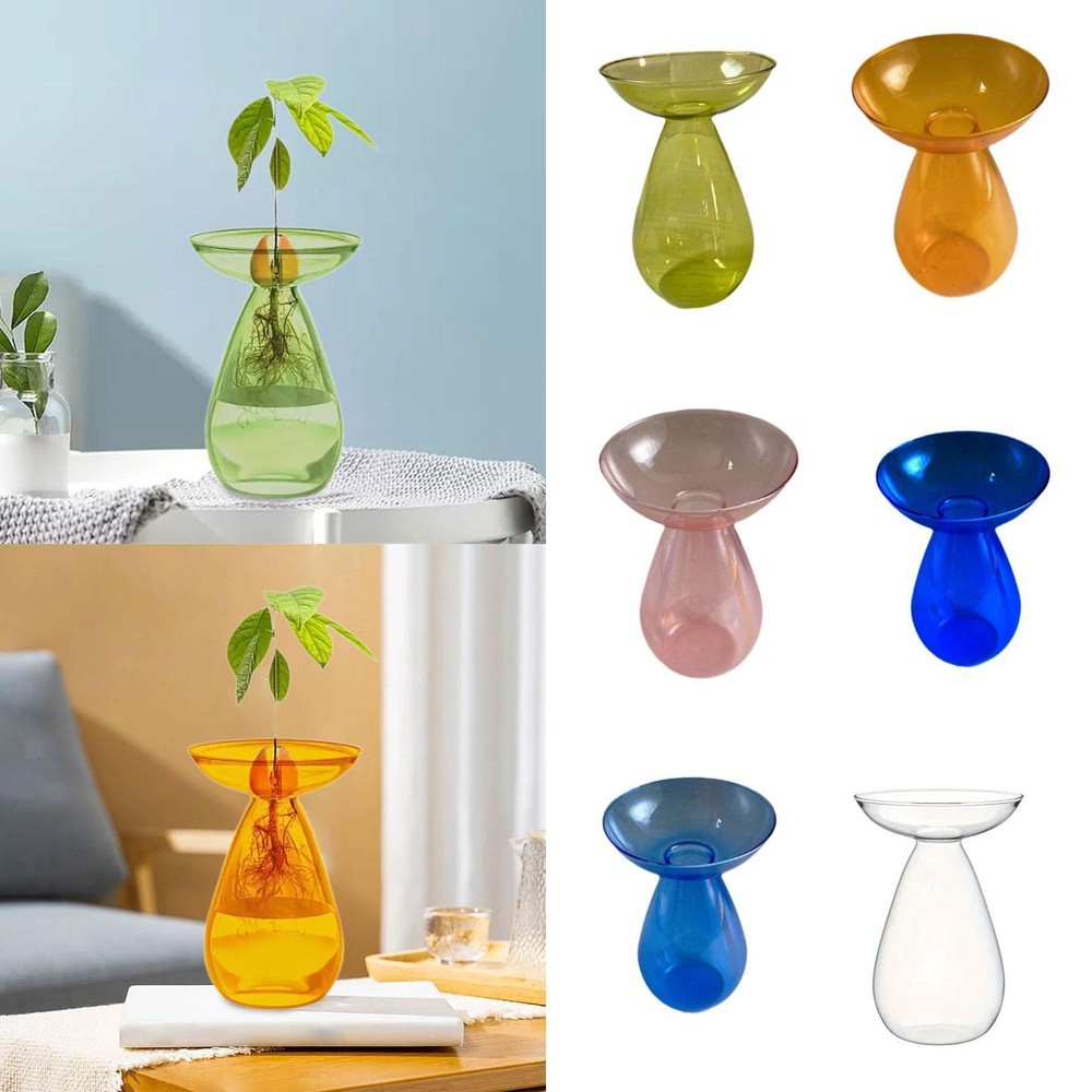 Hydroponic Floral Vase Plant Propagation Station for Kitchen Indoor Balcony Decor