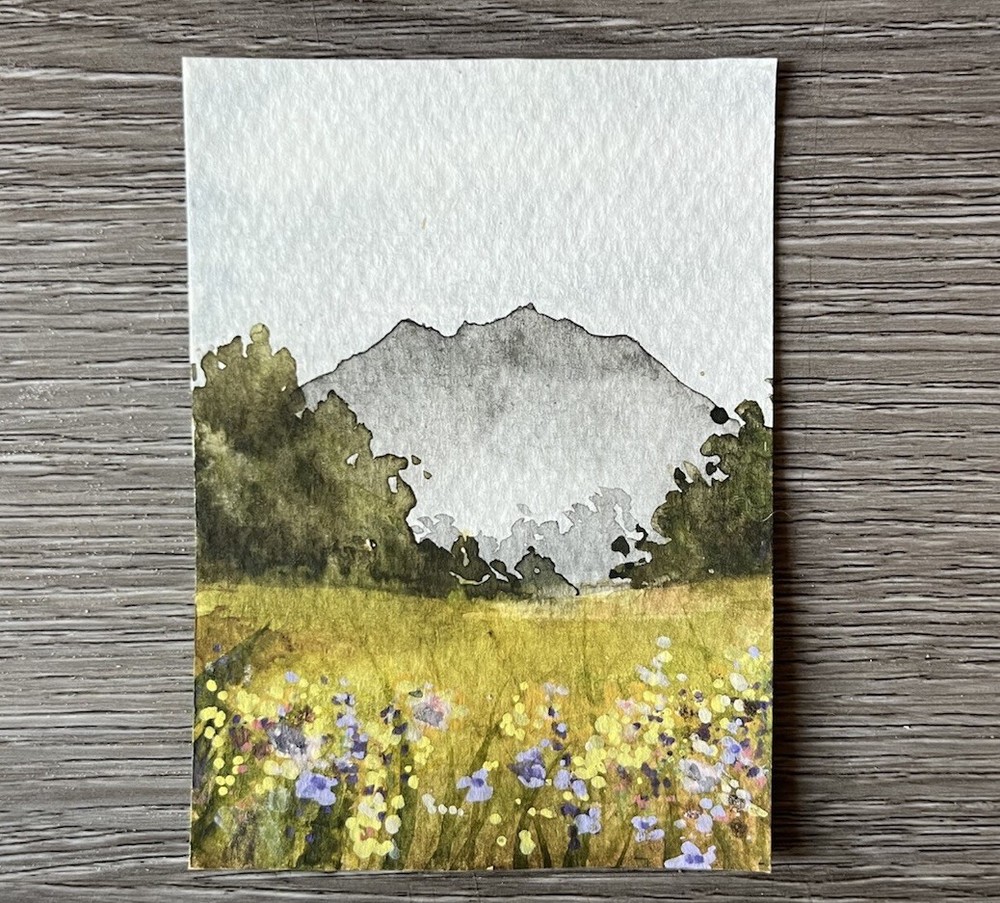 20x16 Inch Wall Art Poster Wildflower Meadow Field Mountain Watercolor Painting