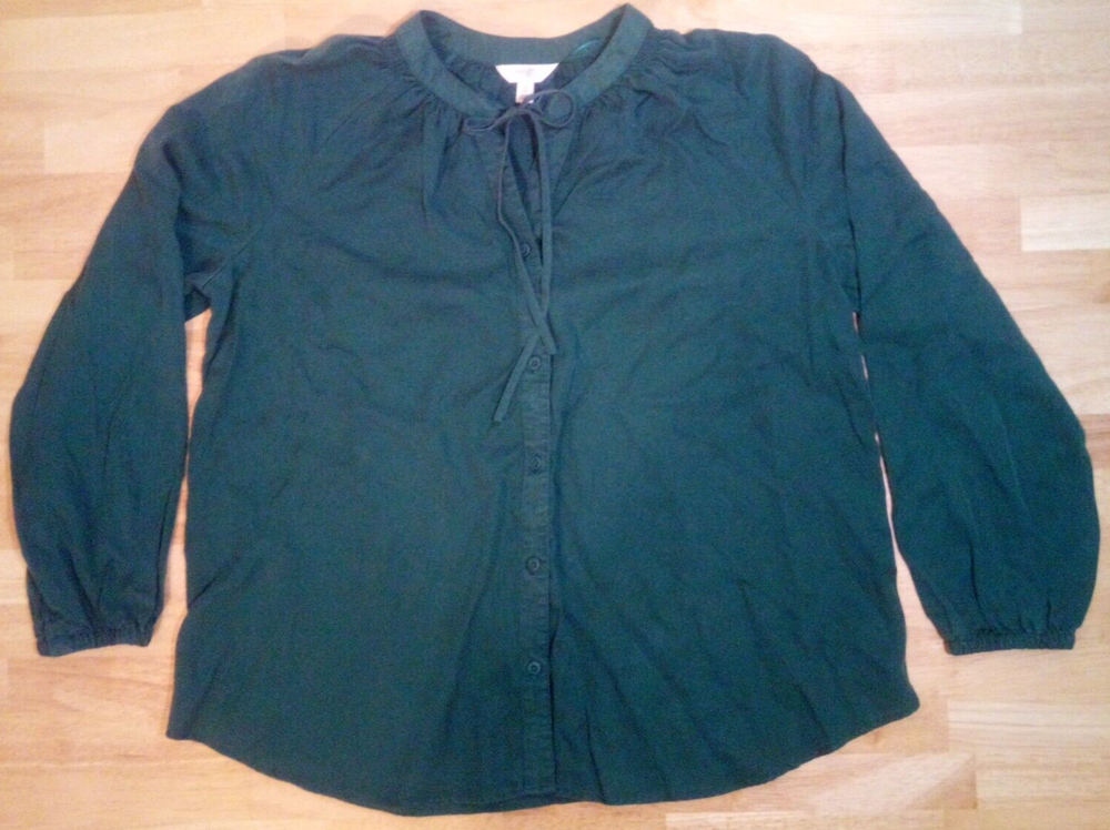 Terra & Sky Women’s Smocked Neck Blouse Green Plus Sizes 0X 1X 2X 4X