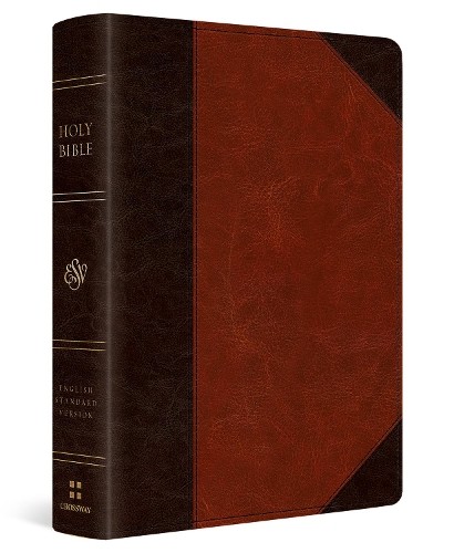 ESV ESV Reader's Bible (Leather Bound)