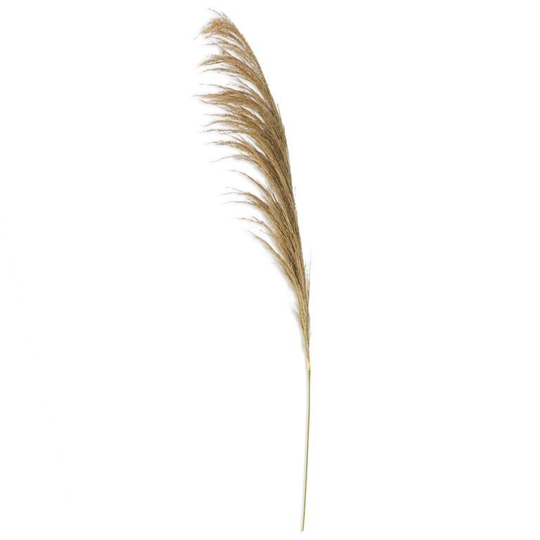 Pampas Grass Natural Dried Reed Flower Bunch Home Decor