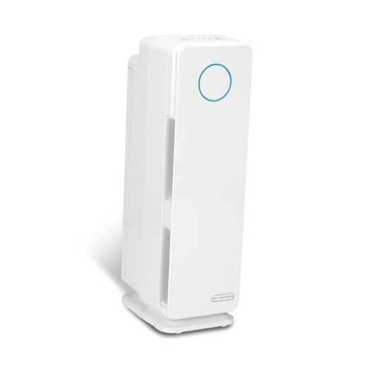 Air Purifier for Homes with Pets, H13 Pet HEPA Filter, Removes Pet Dander,