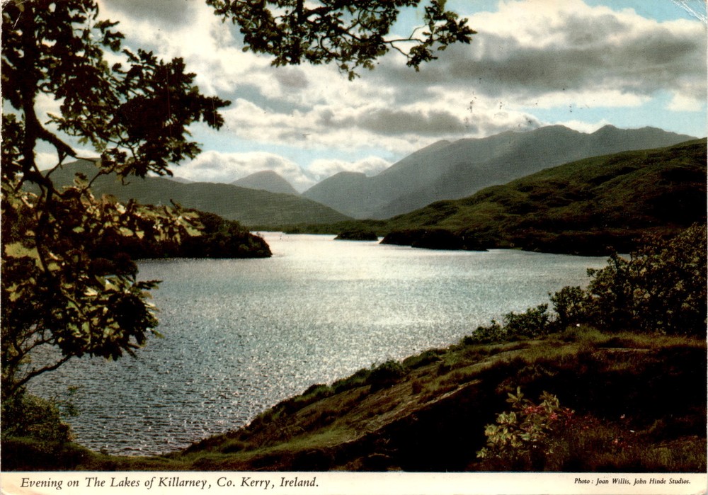 Lakes of Killarney, Co. Kerry, Ireland, Joan Willis, John Hinde Studios Postcard