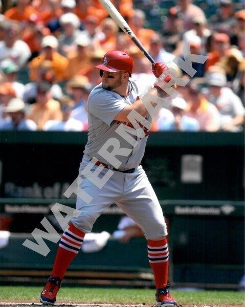 MATT ADAMS St Louis Cardinals 8 x 10 Photo Poster Baseball