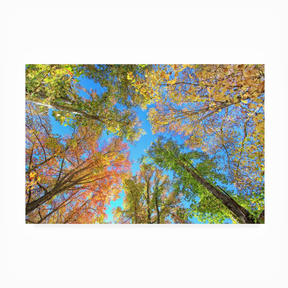 Outdoor Canvas Art - Beata Czyzowska Young 'Autumn Vibes' Wall Art for Outdoo...