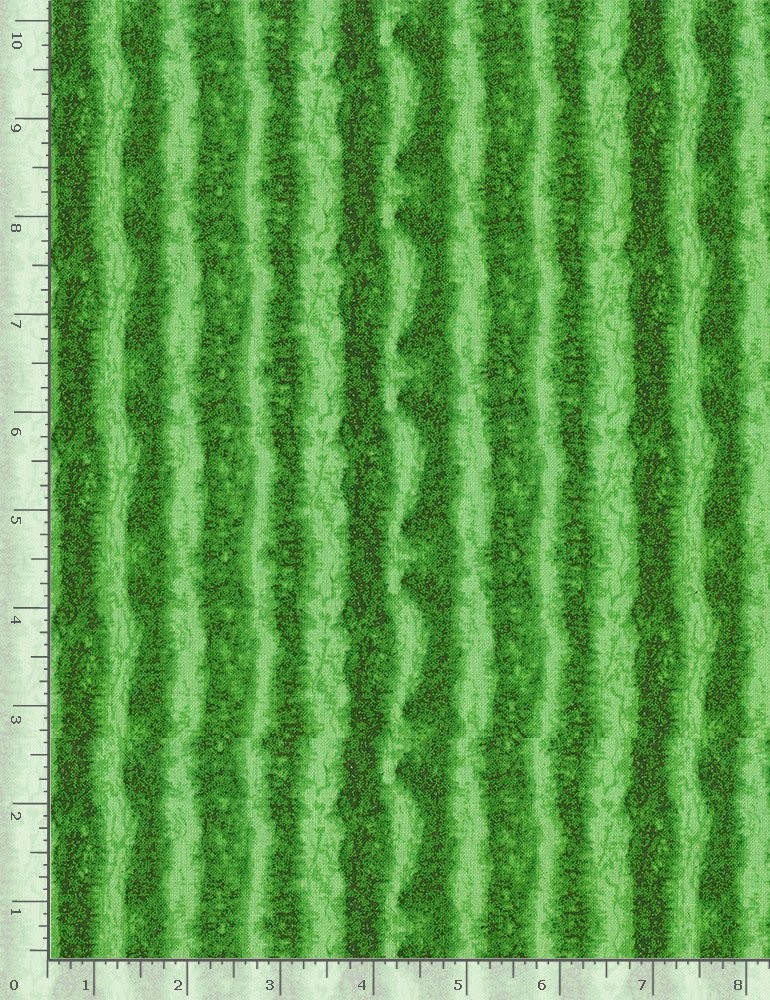 Food Fabric | Fruit Watermelon Rind Stripe Green | Timeless Treasures YARD