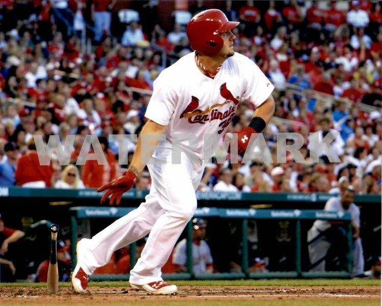 MATT ADAMS St Louis Cardinals 8 x 10 Photo Poster Baseball