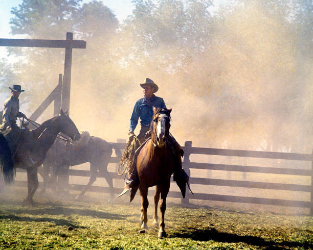 Steve McQueen as the title character in the western film Nevada Sm- Old Photo 2
