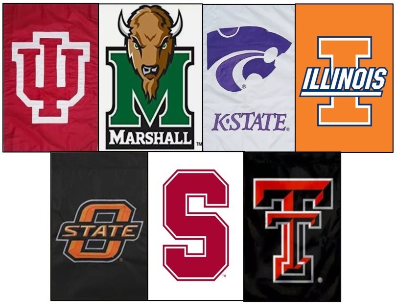 Collegiate NCAA Banner Garden Flag - Vertical 12