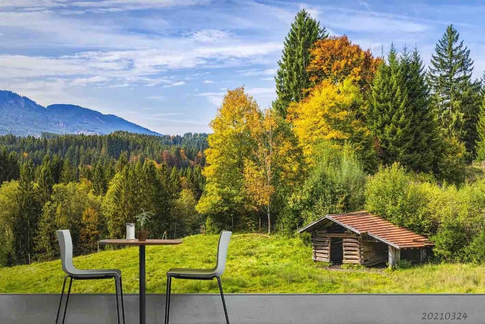 3D Forest Autumn Landscape Wall Murals Wallpaper Murals Wall Sticker