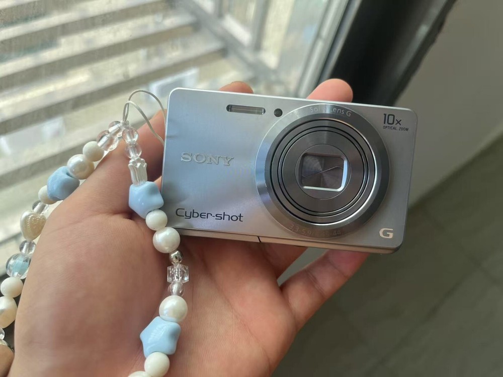 Sony Cyber-shot DSC-W690 16.1MP 10x Zoom Digital Camera in Silver