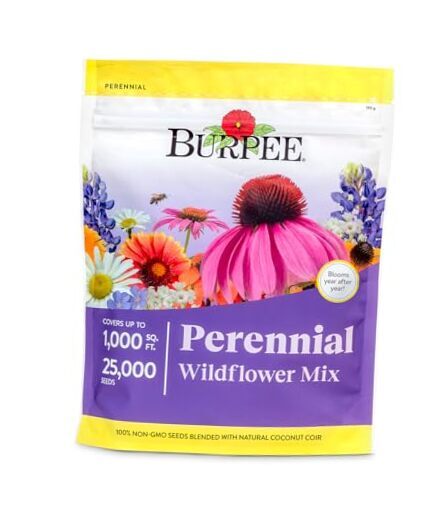 Wildflower 25,000 Bulk, 1 Bag | 18 Varieties of Non-GMO Flower Perennial Mix