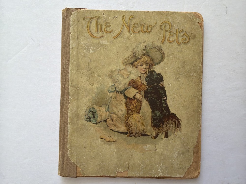 Antique Victorian Children's Book, The New Pets