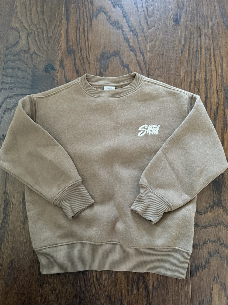 Zara Boys Tan Size 6-7 Cream Embroidery SKTD Crewneck Sweatshirt Skater Core