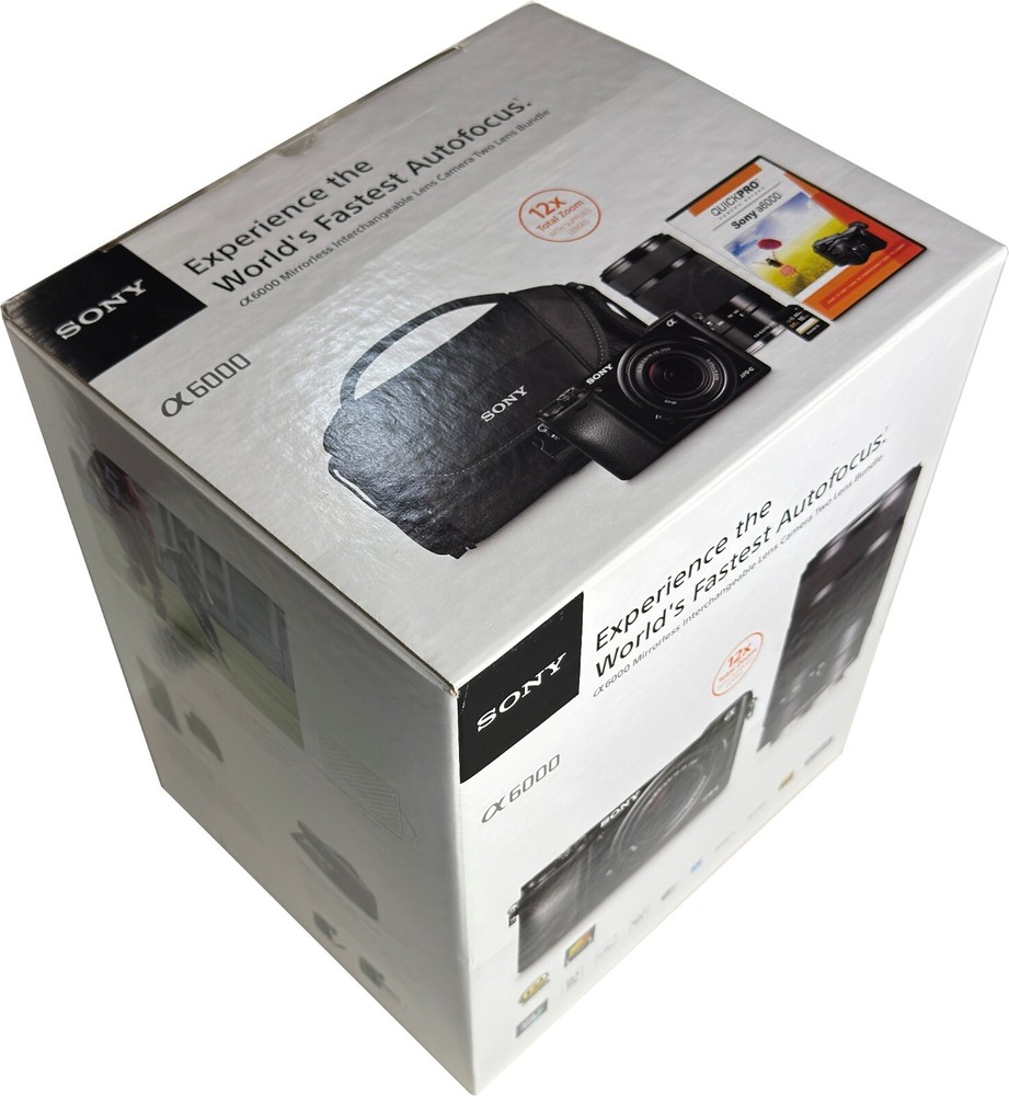 Sony A6000 kit with two Sony lenses, Sony flash, two Sony batteries, & Sony Case