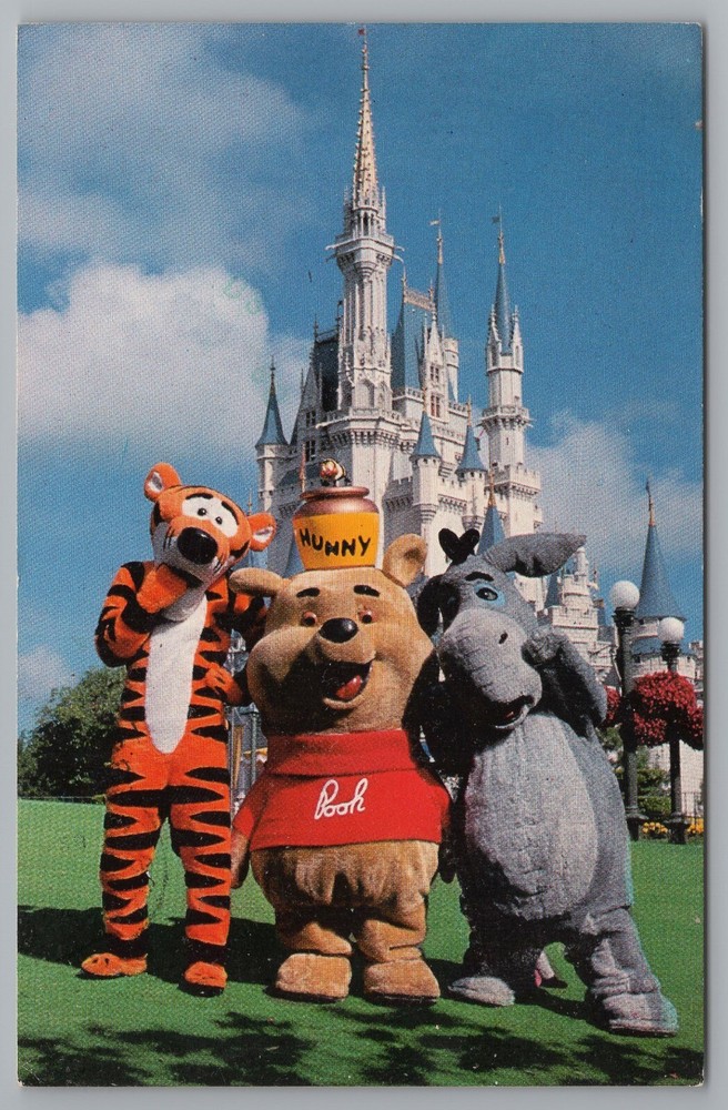 Cinderella Castle Walt Disney World POOH Tigger Eeyore postcard C4