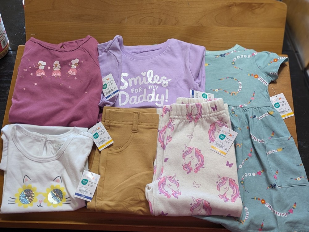 Garanimals Toddler Girl Clothes Bundle Lot 6pc Size 24M / 2T Dress Pants Tops