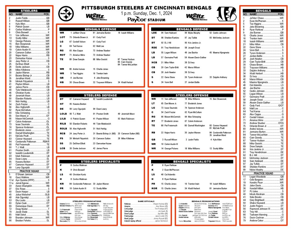 Cincinnati Bengals vs Pittsburgh Steelers Game Flipcard NFL program Dec 1, 2024