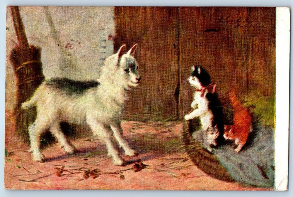 1908 Goat And Cat Kittens Animals Baltimore Maryland MD Antique Posted Postcard