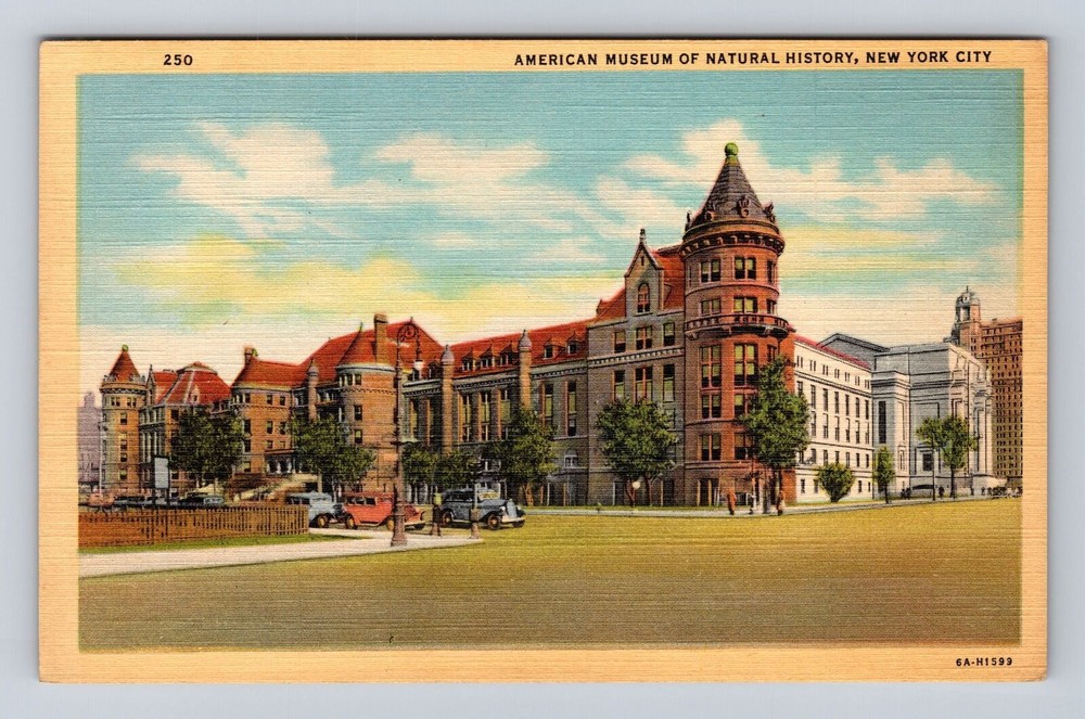 New York City NY, American Musuem Of Natural History, Vintage Souvenir Postcard