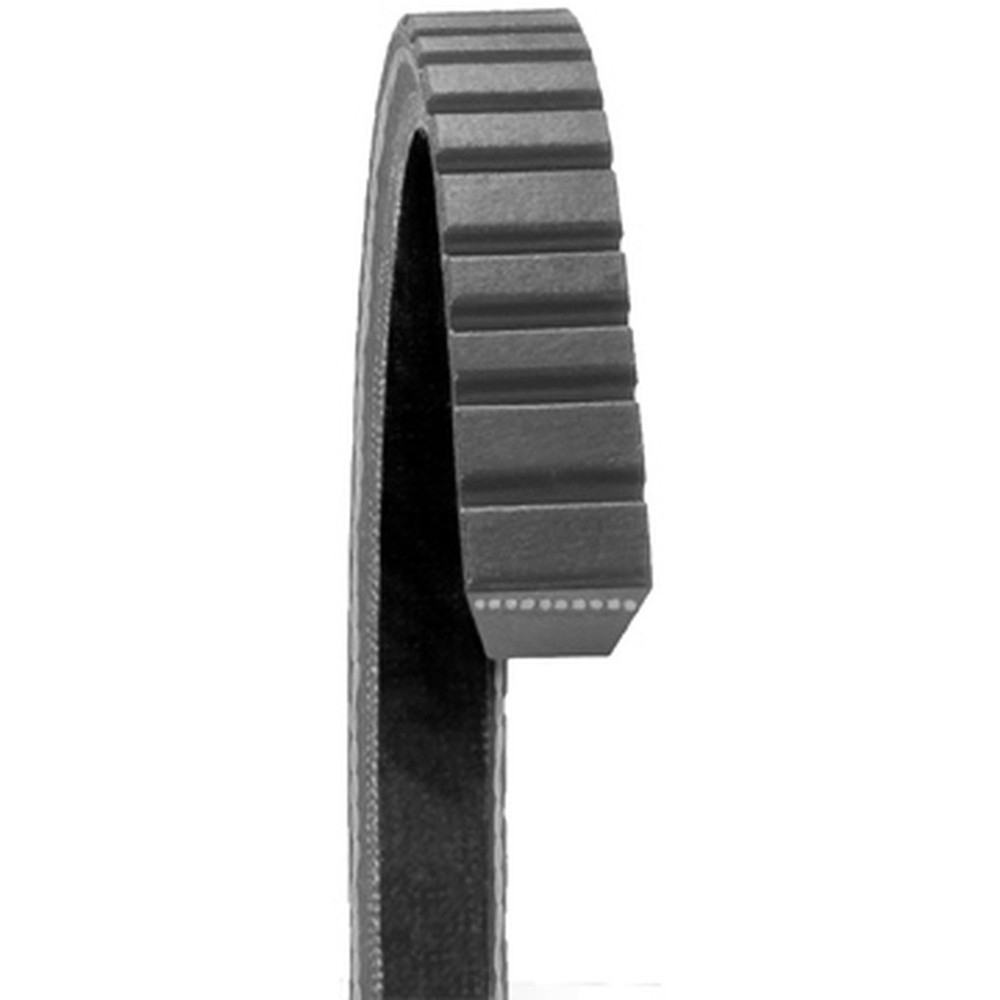 Dayco 17565 Accessory Drive Belt