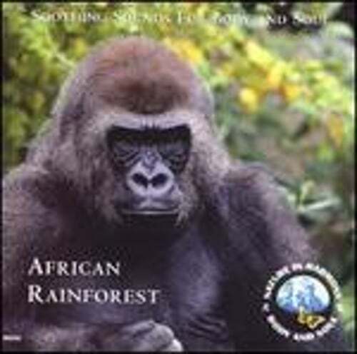 African Rainforest Album by Various Artists Preowned
