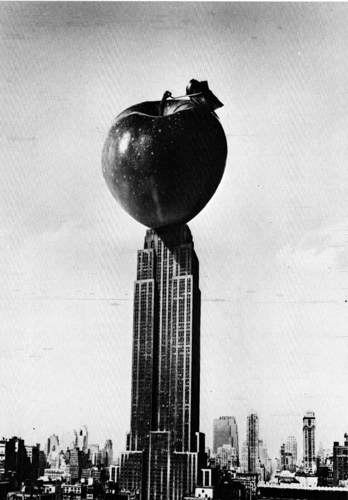 1980 Empire State Building New York Photo Postcard by Alfred Gescheidt