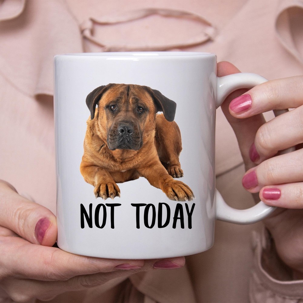 Funny Cane Corso Red Not Today Dog Mug Lazy Gift For Women Dogs Mom Coffee Mug