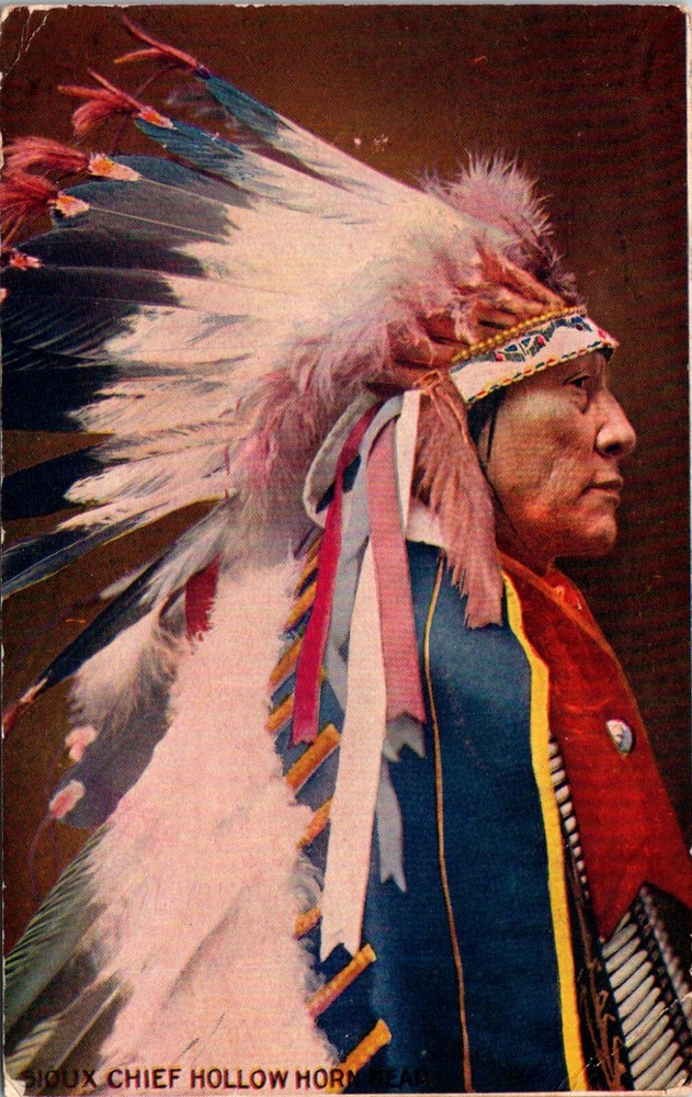 Portrait Sioux Chief Hollow Horn Bear Traditional Clothing 1907 Postcard   24187