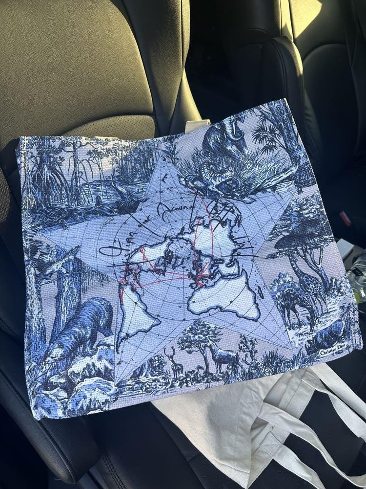 Dior novelty tote #124292
