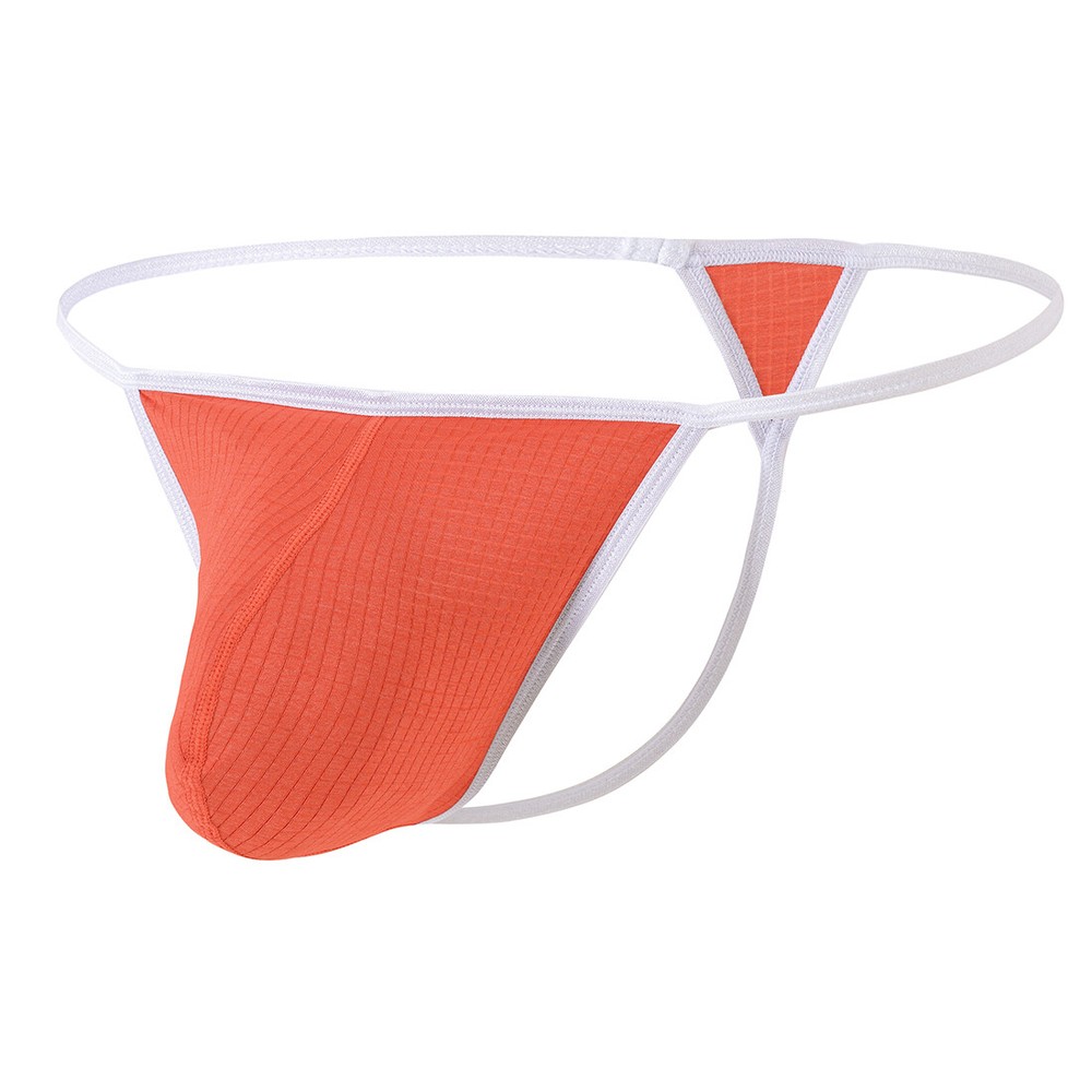 Men's Raised Bag Sexy Silk Panty Micro Mesh Men's Comfort Fit Thong Bikini M-3XL