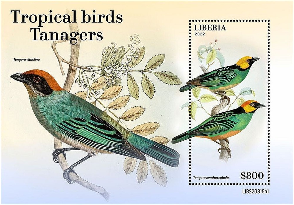 TANAGERS Tanager Tropical Birds/Bird MNH 1v-Stamp Sheet #1998 (2022 Liberia)